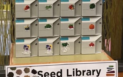 Seed Libraries Are a Great Resource for Gardeners