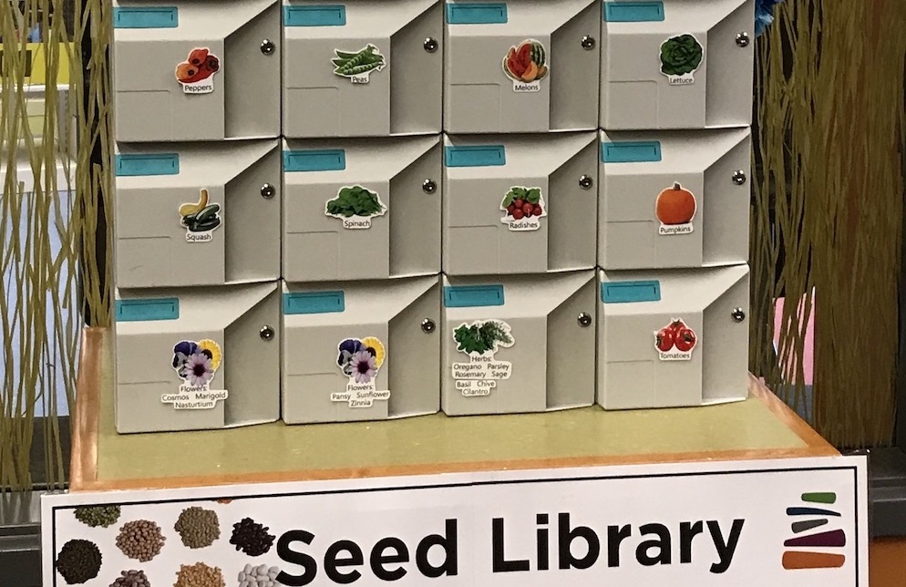 Seed Libraries Are a Great Resource for Gardeners