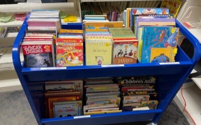 Stock Up on Books and More at Library Friends Book Sales