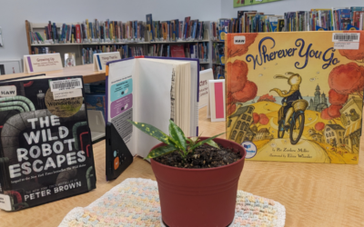 Expanding Access With Audio-Enabled Books